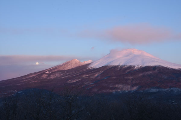 marmotte／2022.02.17 06:36／軽井沢町