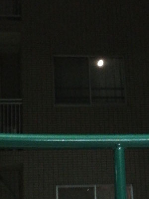 SGK／2021.08.25 21:37／多摩川