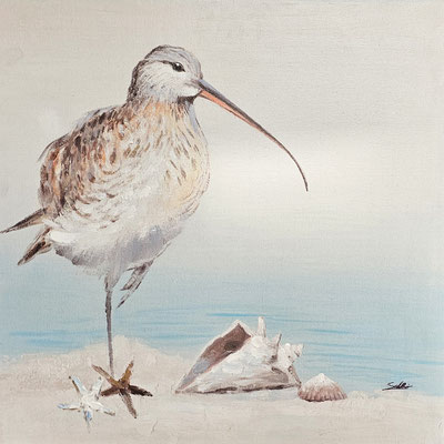 "Strandvogel" 60 x 60 cm, 99,€