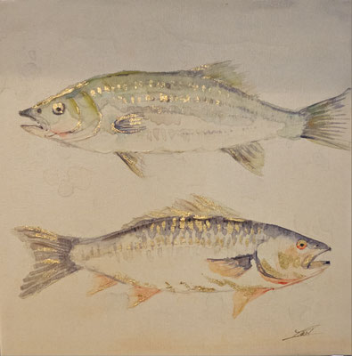"Fisch- Duo", 50x 50 cm, 89,- €