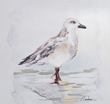 "Nahrungssuche" 40 x 40cm, 39,-€