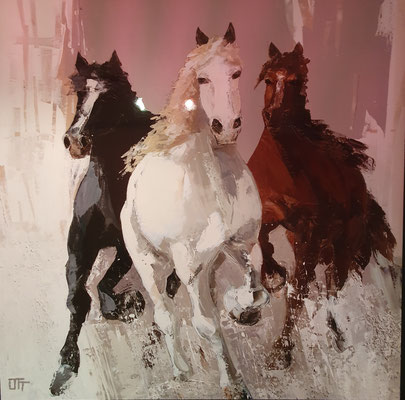 Wildpferde 70 x 70 mit schwarzen Alurahmen, 139,-€