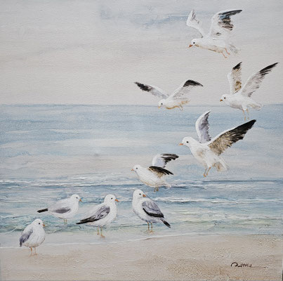 "Möwen am Strand" 100 x 100 cm, 229,-€