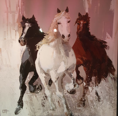 Wildpferde 70 x 70 mit schwarzen Alurahmen, 139,-€
