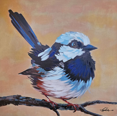 "Vogel Klaus" 60 x 60 cm , 79,-€