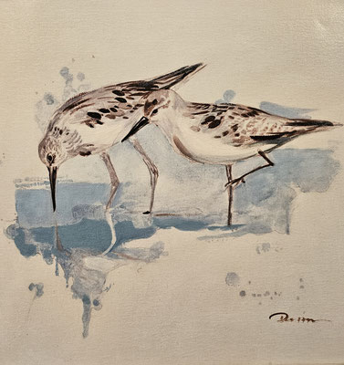  "Nahrungssuche II." 40 x 40 cm, 39,-€