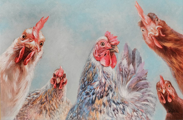 "Henry Hahn und Hennen", 70x 100 cm, 179,- €