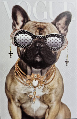 "Bouledogue a`la mode II", Glasbild mit Strass, 40x60 cm, 99,-€
