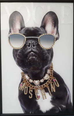 "Bouledogue a`la mode I", Glasbild mit Strass, 40x60 cm, 99,-€