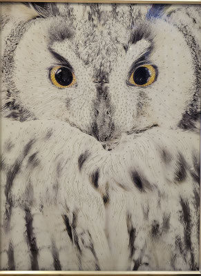 "Schneeeule", Glasbild mit Strass, 90x 120 cm, 399,-€