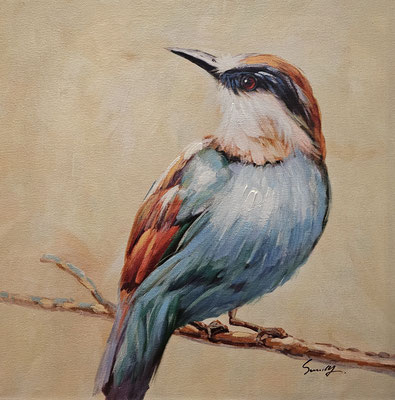 "Vogel Hansi" 60 x 60 cm , 99,-€