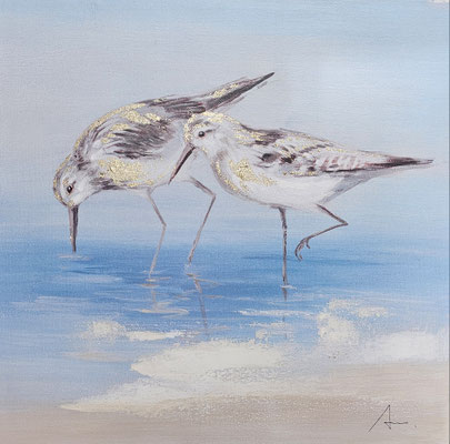 "Auf Nahrungssuche" 60 x60 cm, 99,€