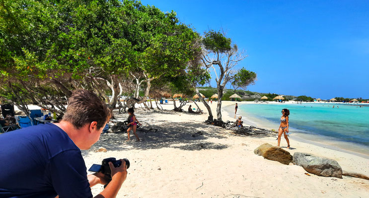 PRINCIPAL FILMS : more than 20 years of developing and producing AWARD-WINNING DOCUMENTARIES - EYE-CATCHING BUSINESS TV - REMARKABLE ACTION MOVIES - REAL LIFE HUMAN INTEREST FILMS