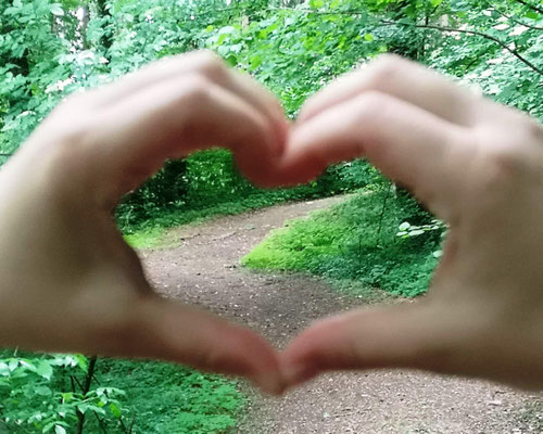 Yvonne Mayer Reutlingen Tübingen Bochum Wattenscheid Psychotherapie Körperpsychotherapie IoPT Aufstellen Entwicklungstrauma Bindungstrauma Dami Charf Franz Ruppert Franz Renggli Healy Neurogenes Zittern Verbundatmen Rebirthing Authentische Wurzeln Olbrich