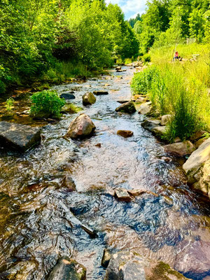 Der Forbach im Tal-X