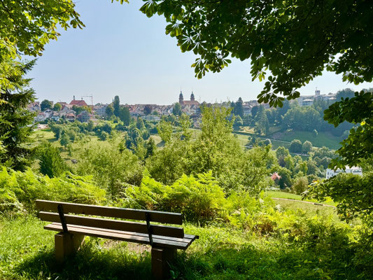 Blick vom Finkenberg gegenüber