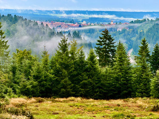 Oberhalb Langenwaldsee Blick auf FDS