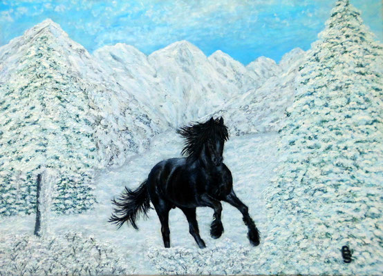 Black horse in winter, 70*50, 2011