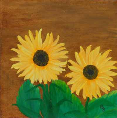Sonnenblumen, 50*50, 2014