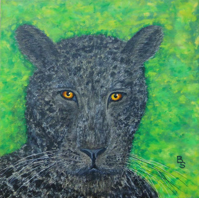Leopard, 40*40, 2014