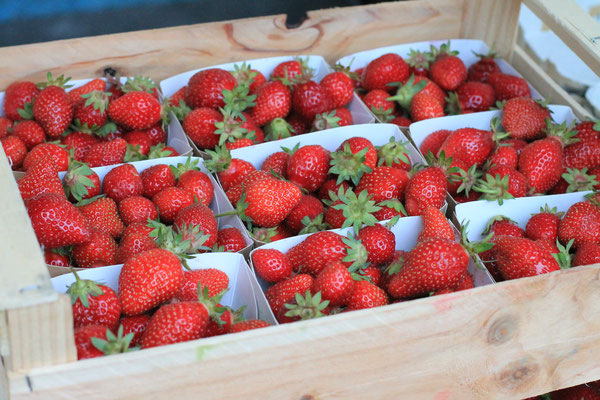 Barquette de fraises