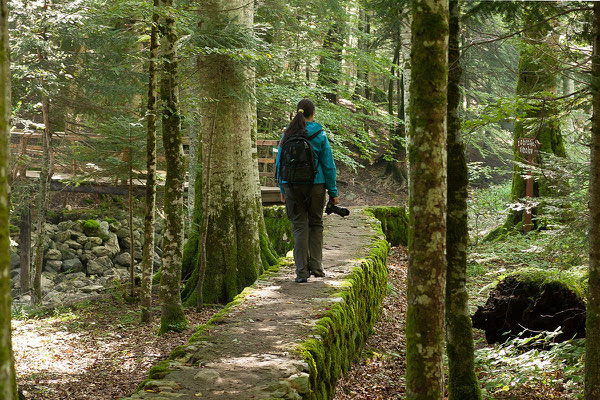 13.9. Nationalpark Biogradska Gora