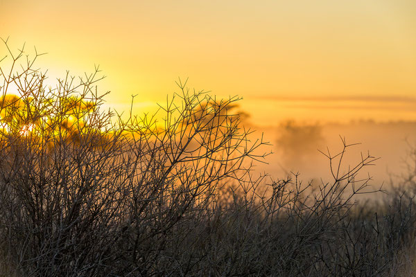 07.03. Wie üblich starten wir kurz vor 6:30 zum Morning Drive.