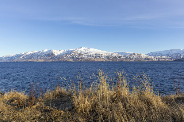 Wir folgen dem Eyjafjörður weiter in Richtung Siglufjörður.