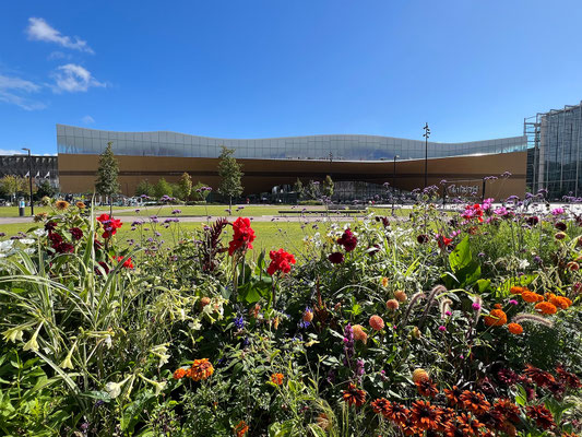 12.08. Blick auf die Oodi Bibliothek