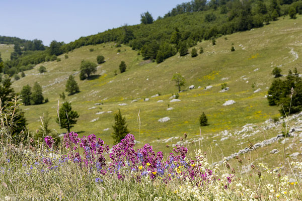 Unterwgs von Konjic nach Lukomir.