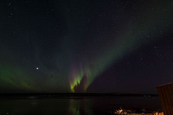 Lady Aurora mag gar nicht mehr aufhören zu tanzen.