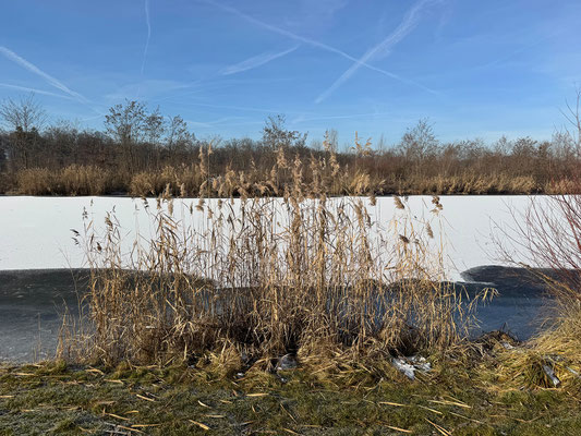 01.01. Murauen Gössendorf