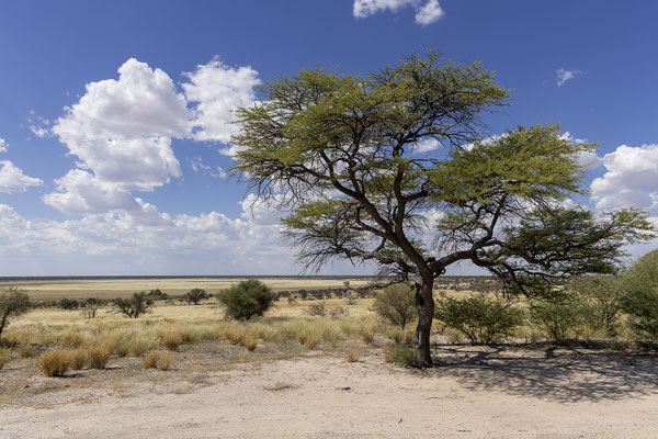 09.03. Bosobogolo 02 (KT-BOS 02) ist eine traumhafte Campsite mit A Frame und grandioser Aussicht auf die Pan. Facilities gibt's keine, die vermissen wir aber auch nicht.