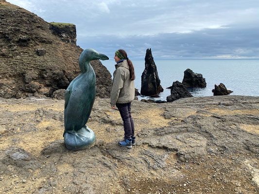 02.08. Valahnúkamöl Klippen - Der Riesenalk war ein flugunfähiger, bis 85 cm großer, Vogel. 1844 wurde das letzte Brutpaar auf Eldey vor der Küste von Reykjanes getötet.