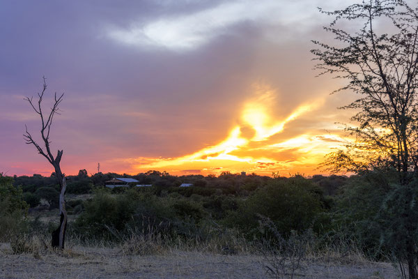 16.03. Makgadikgadi NP