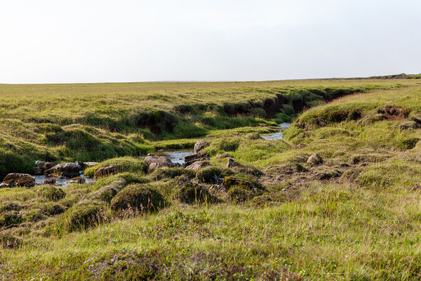 31.07. Auf dem Weg zu den Krýsuvíkurbjarg Klippen.