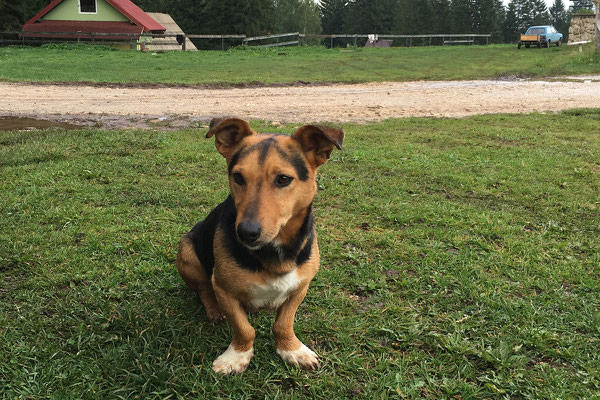 9.9. Wir übernachten am Campingplatz Ivan Do unweit von Žabljak. 