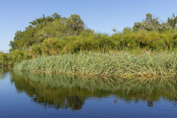 ... die größeren Inselbereiche im Inneren des Deltas (Chiefs Island, Chitabe Island) und die Sandveld Zungen, die sich von Süden ins Delta erstrecken.