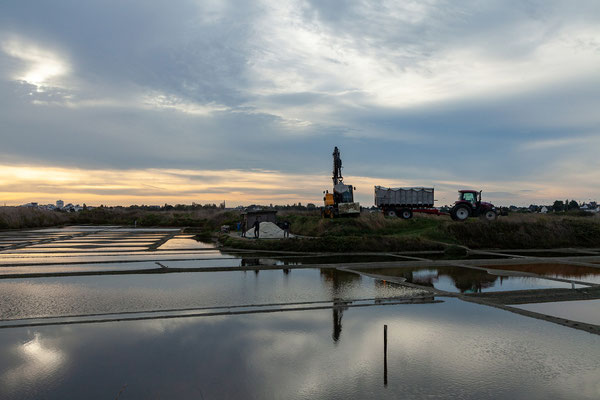 Morgenstimmung in der Salzgärten der Guérande.