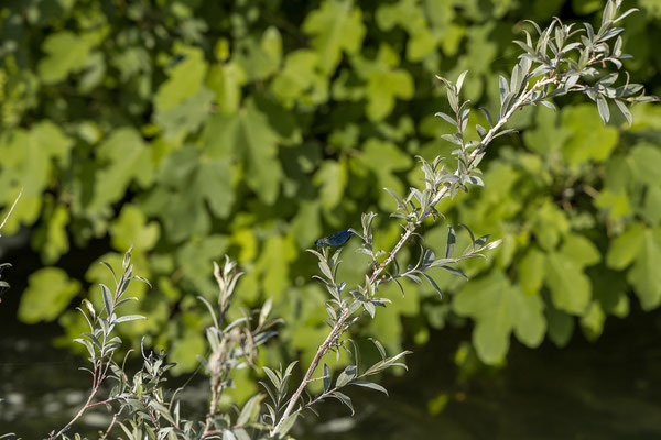 Kravica Wasserfälle