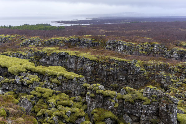 Am Rückweg halten wir in Þingvellir. Jetzt zieht es wieder zu und Regen kommt auf. 
