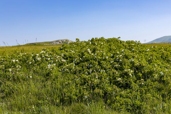 Planina Cincar - Livno