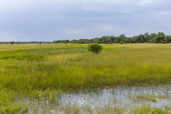 24.03. Nach dem Frühstück machen wir uns bald an die Weiterfahrt, kurz nach der Lodge müssen wir in der schönen Landschaft aber gleich wieder anhalten.