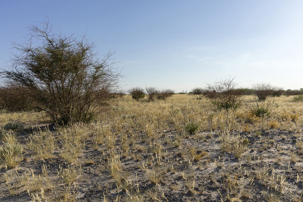 15.03 Unsere Route ...