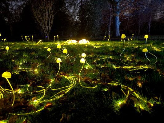 Christmas at Kew