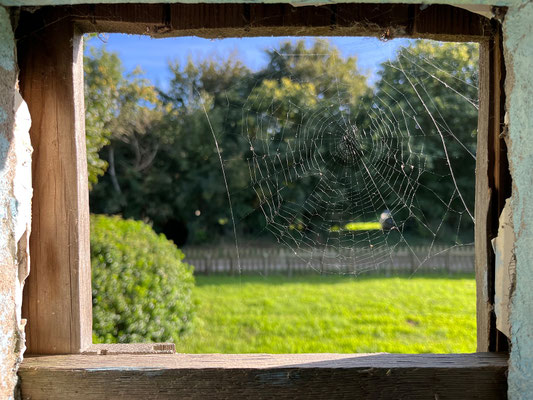 Camping Château de Bélon