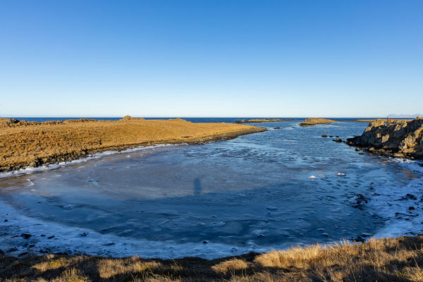 Illugastaðir Seehundkolonie