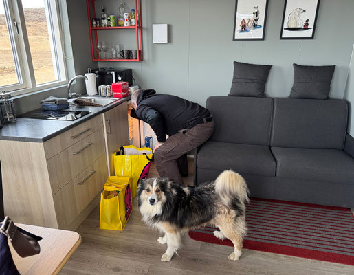 Hundi hilft beim Auspacken! Die Küchenausstattung hat in den letzten 5 Jahren etwas gelitten und würde etwas Liebe vertragen. Anonsten ist das Cottage schön und gemütlich wie beim ersten Aufenthalt hier. 