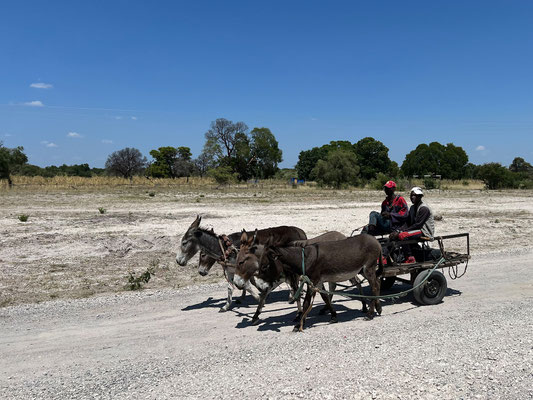 23.03. Nach 200 km erreichen wir Rundu. Es ist Samstag und viel los. Wir genießen die nette Atmosphäre.