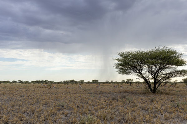 14.03. Von Letiahau nach Lekhubu.